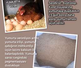 Yumurta yemi