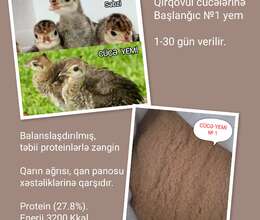 Hinduşka cücə yemi