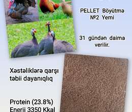 Hinduşka. Qırqovul. Firəng Böyütmə №2 yemi