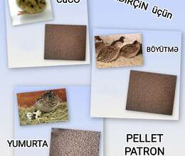 Proteinli Pellet Yem – Heyvanlar üçün məhsul – ucuztap.az