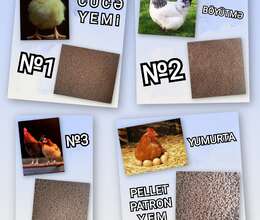 Proteinli Pellet Yem