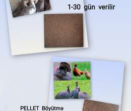 Proteinli Pellet Yem