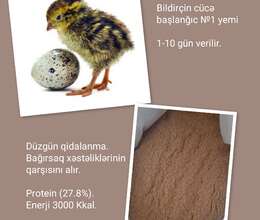 Bildirçin Cücə yemi