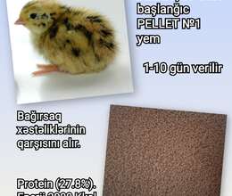 Bildirçin Cücə yemi