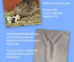 Bildirçin yumurta yemi