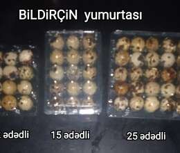 Bildirçin yumurtası