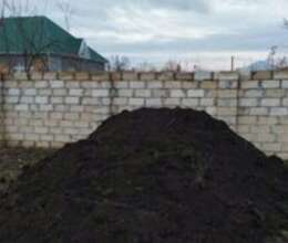Peyin – Bağ və bostan – ucuztap.az