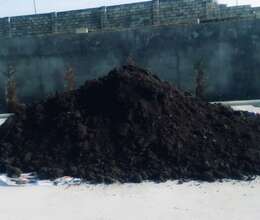Peyin – Bağ və bostan – ucuztap.az