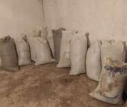 Peyin – Bağ və bostan – ucuztap.az