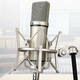 Awle Metal Professional Mikrofon