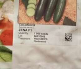 Xiyar toxumu Sakata Zena F1 – Bağ və bostan – ucuztap.az