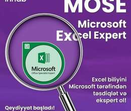 MOSE-Microsoft Excel Expert MO-201