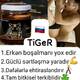 Tiger mecun Rusiya bitkisel