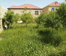 4 sot torpaq sahəsi