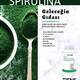 Spirulina 