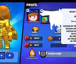 Brawl Stars hesabı 