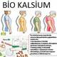 Bio Kalsium (Ümumi Ca )Tozu