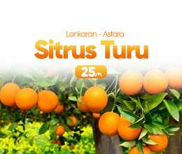 Lənkəran Astara Sitrus turu 