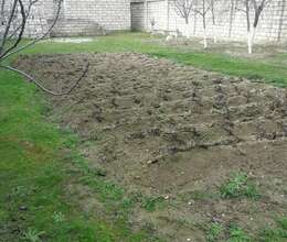 Satılır torpaq 5.9 sot, Şağan q