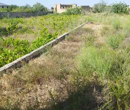 Ləhiş bağ sahəsi 12 sot , Sabunçu rayonu