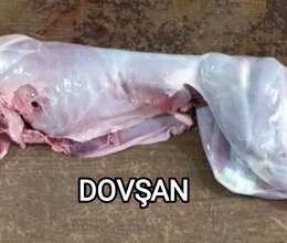 Dovşan əti