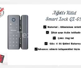 Ağıllı Kilid Smart Lock QL-G9S