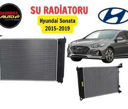 "Hyundai Sonata 2015-2019" su radiatoru