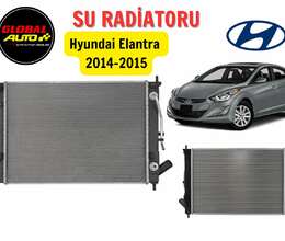 "Hyundai Elantra 2014-2015" su radiatoru