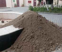 Qara torpaq ve peyin – Ağaclar və tinglər – ucuztap.az