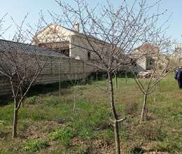 Elit Əmlak – Torpaq – ucuztap.az