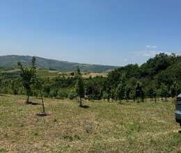 Satılır Yeni tikili, 15000m², 1-Otaqlı