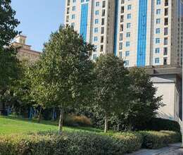 Satılır Yeni tikili, 204m², 4-Otaqlı