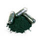 Spirulina