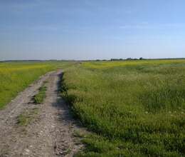 3.5 hektar Ərazi satılır