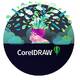  Corel DRAW Proqramından hazırlıqlarımız