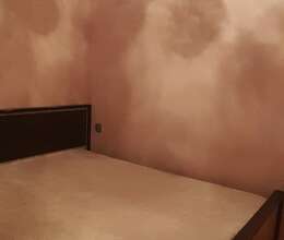 Kirayə verilir Yeni tikili, 52m², 2-Otaqlı