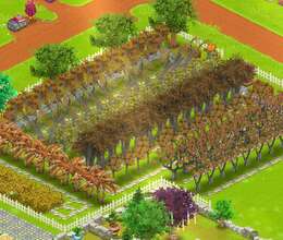Hay Day