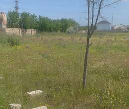 1 hektar Erazi satílír Yeni Suraxanída 