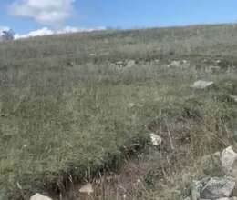  12 sot Ərazi satılır Çuxuryurd