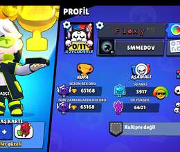 65k Brawl Stars hesabı 