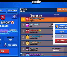 BRAWL STARS