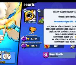 Brawl Stars 