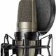Mikrofon "Shure KSM 42/SG"