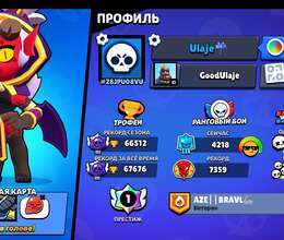 Brawl stars(66k)