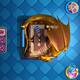 Clash of Royale hesab