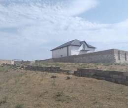 Masazır Torpaq