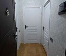 Kirayə verilir Yeni tikili, 45m², 1-Otaqlı