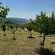  1.5 hektar  Full Mənzərə AĞSU-İSMAYILLI yolu 