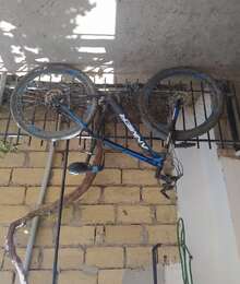 29luq velosiped