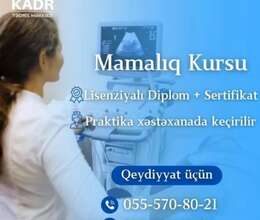 Mamalıq Kursu 